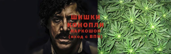 PSILOCYBIN Белоозёрский