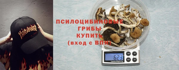 PSILOCYBIN Белоозёрский