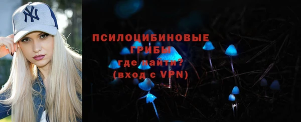 mdpv Белокуриха
