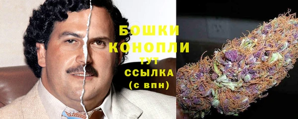 mdpv Белокуриха
