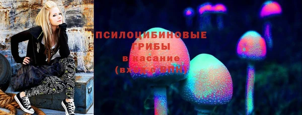 mdpv Белокуриха