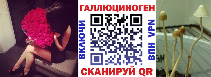 Псилоцибиновые грибы Psilocybine cubensis  Сланцы 