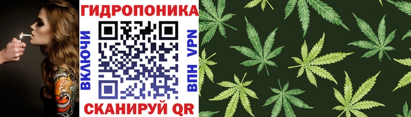 Канабис индика  мега онион  Сланцы 